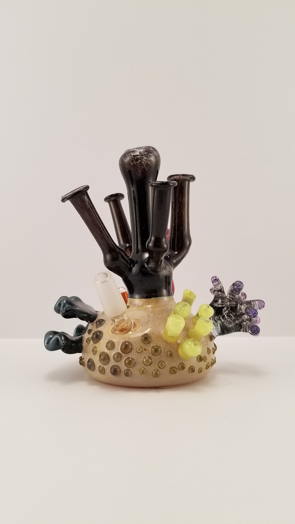 Pandemic Glass Coral Reef Rig