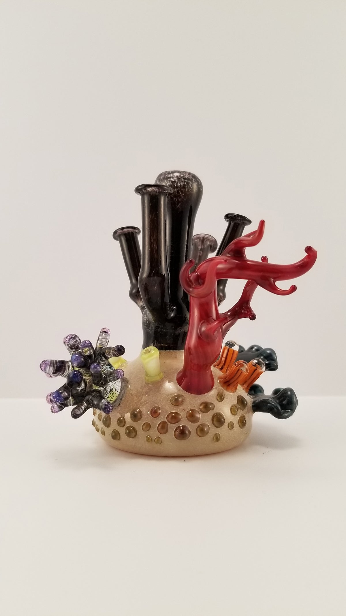 Pandemic Glass Coral Reef Rig